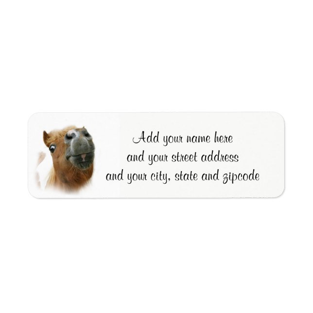 Funny horse return address label (Front)