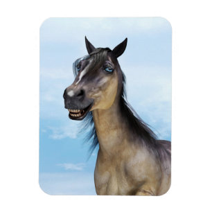 Funny Horse Smile Portrait Art Magnet