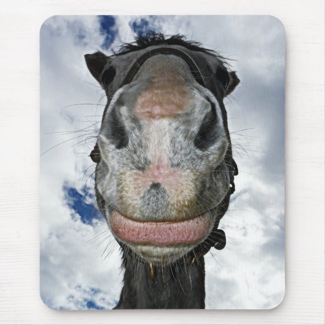 Funny Horse Smiles Mouse Pad (Front)