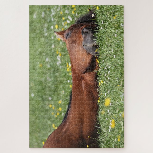 Funny Horse smiling in the grassy field Jigsaw Puzzle (Vertical)