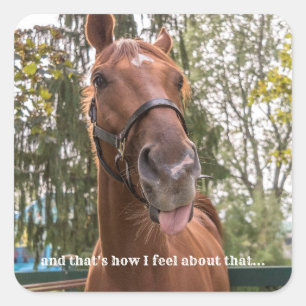 Funny Horse Sticking Out Tongue Photo Sticker