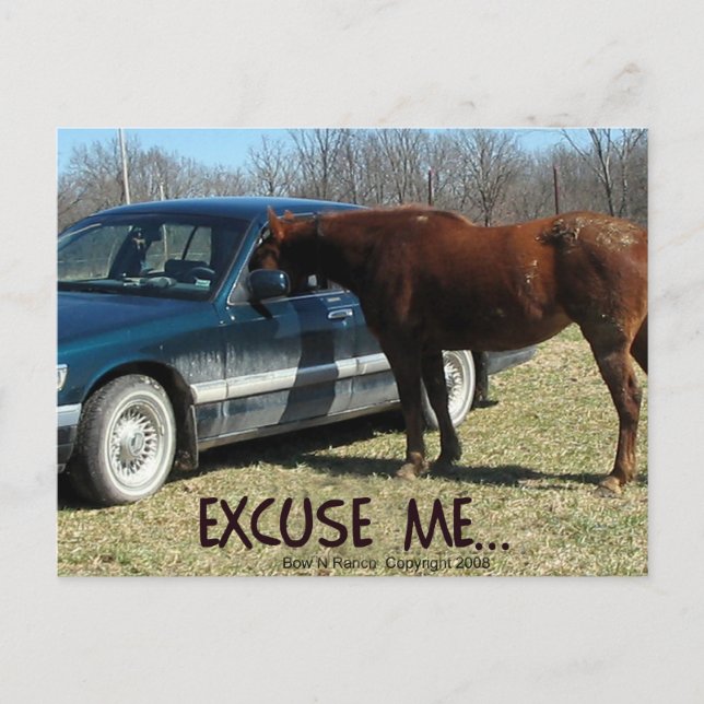 Funny Horse with car Excuse Me Postcard (Front)