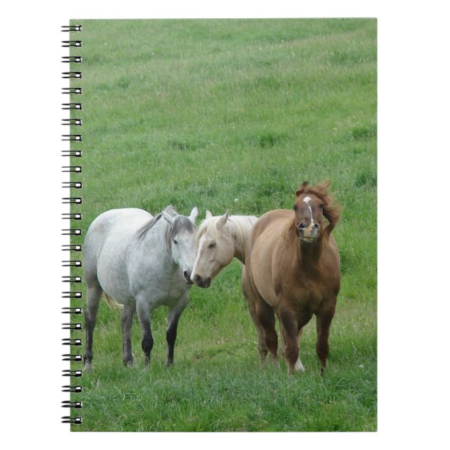 Funny Horses Notebook (Front)