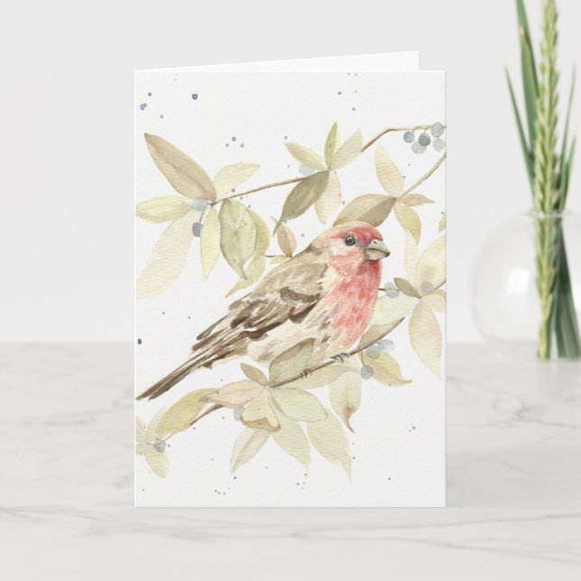 Funny - House Finch Happy Birthday Greeting Card (Front)