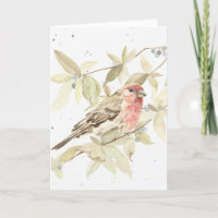 Funny - House Finch Happy Birthday Greeting Card