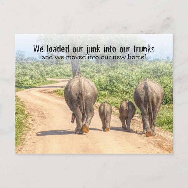 Funny Housewarming Party Elephants Moved  Postcard (Front)
