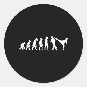 Funny Human Taekwondo Fighter Evolution Korean Classic Round Sticker