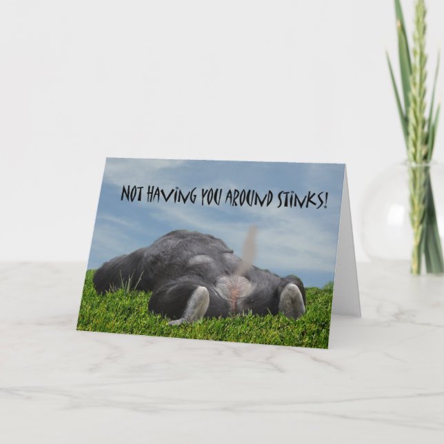 Funny Humourous Monkey Miss You Card (Front)