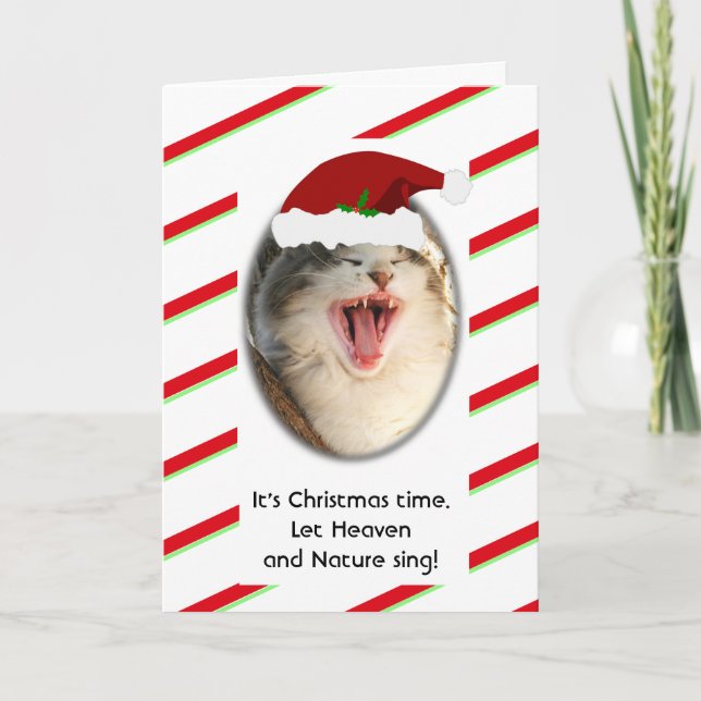 Funny Humourous Singing Cat Christmas Holiday Card (Front)