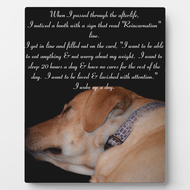 Funny Humourous Sleeping Labrador Retriever Plaque (Front)