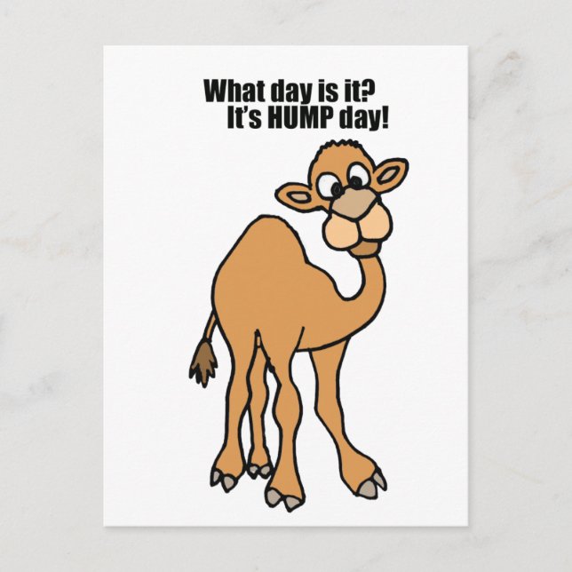 Funny Hump Day Camel Art Postcard (Front)