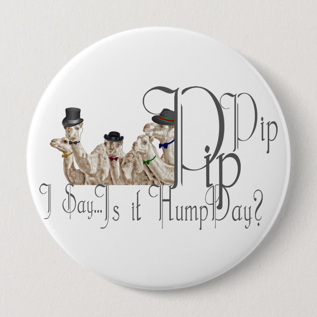 Funny Hump Day Camels  in Monocles 10 Cm Round Badge (Front)