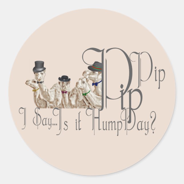 Funny Hump Day Camels  in Monocles Classic Round Sticker (Front)