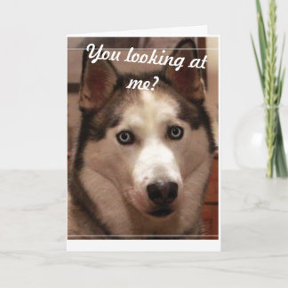 Funny Husky Birthday Card
