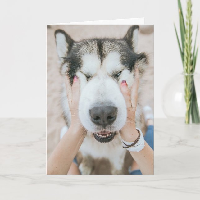 Funny Husky Dog Birthday Card (Front)