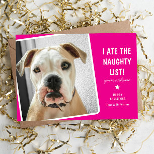 Funny I ate the Naughty List Cute Dog Holiday Card