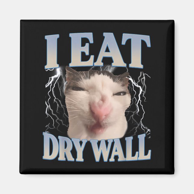 Funny I Eat Dry Wall Silly Cat Meme Men Women Kids Magnet (Front)