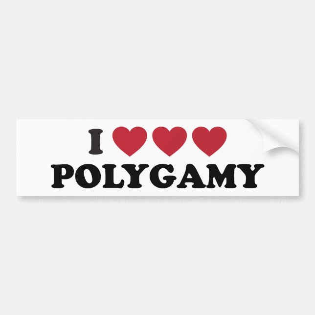 Funny I Heart Polygamy Bumper Sticker (Front)