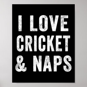 Funny I Love Cricket And Naps Bearded Cricket Dad Poster
