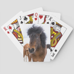 Funny Icelandic Horse Portrait Playing Cards