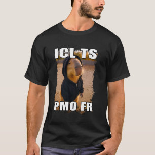 Funny ICL TS PMO FR Ironic Capybara Meme Brainrot T-Shirt