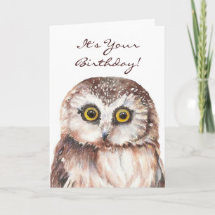 Funny If You Must be Genius, Old Age Owl Card