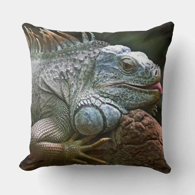 Funny Iguana Cushion (Front)