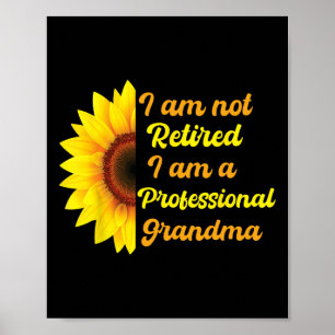 Funny Im Not Retired Im A Professional Grandma Mot Poster