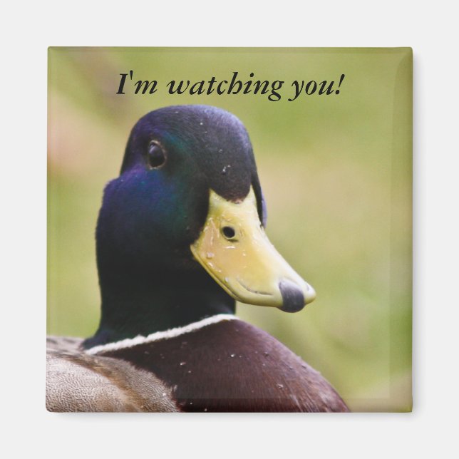 Funny I'm Watching You Duck Fridge Magnet (Front)