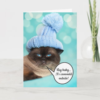 Funny innuendo sexy pose cat Christmas Holiday Card