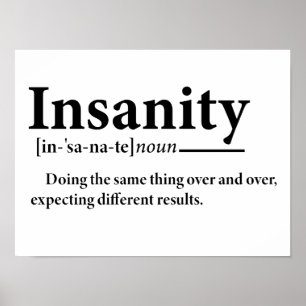 Funny Insanity Definition Insanity Explanation  Poster