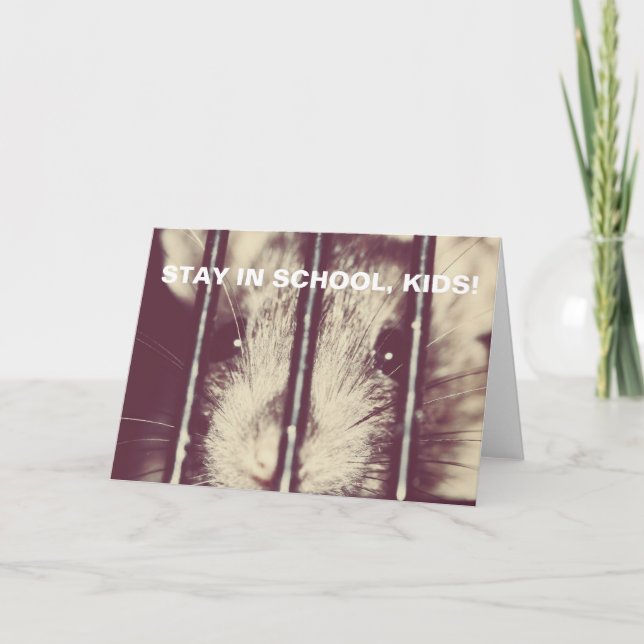 Funny Inspirational Rat in Prison Card (Front)