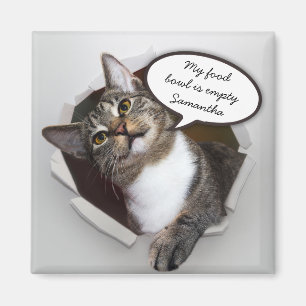 Funny Interrupting Cat Personalised Message Magnet