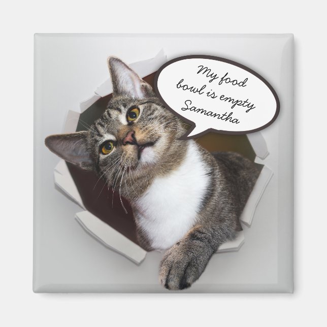 Funny Interrupting Cat Personalised Message Magnet (Front)