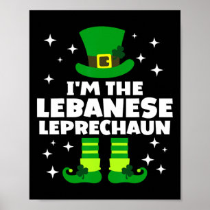 Funny Irish Lebynese Leprechaun St Patricks Day Ir Poster