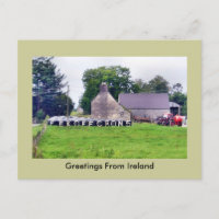 Funny Irish Scarecrow Postcard