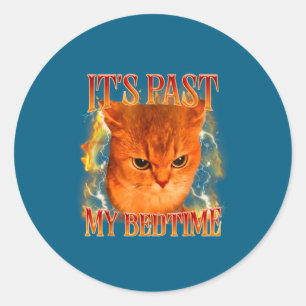 Funny It's Past My Bedtime Cat Meme Animals Humor  Classic Round Sticker
