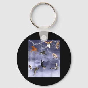 Funny Its Raining Cats And Dogs Key Ring
