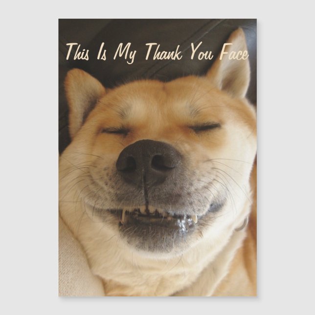 funny Japanese akita with cute smile thank you (Front)