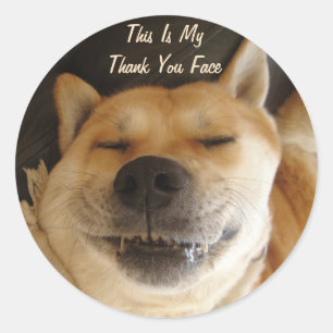 funny Japanese akita with cute smile thank you Classic Round Sticker