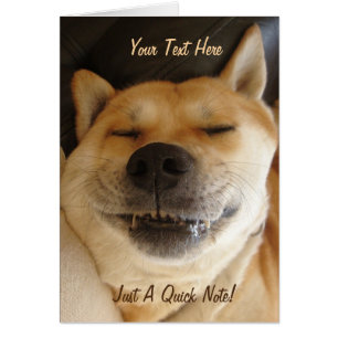 funny japanese akita with goofy smile photo