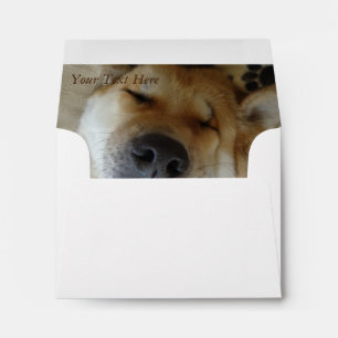 funny japanese akita with goofy smile photo envelope