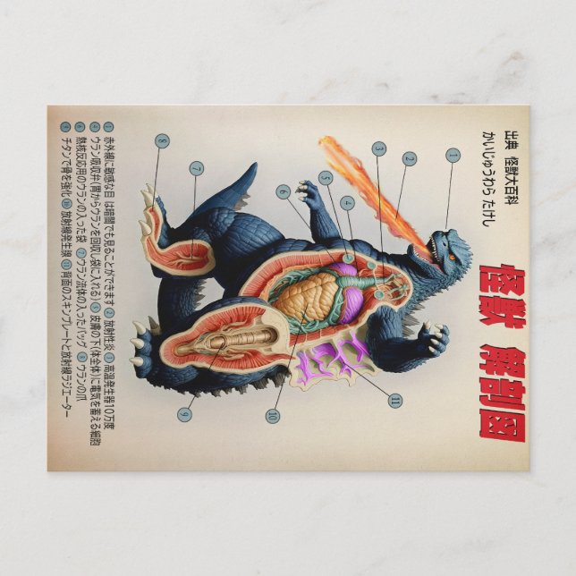 Funny Japanese Kaiju anatomy diagram Postcard (Front)