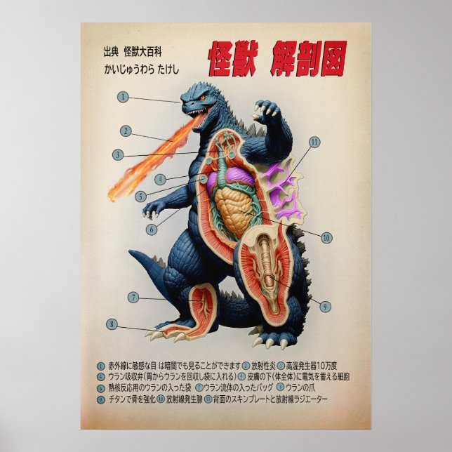 Funny Japanese Kaiju anatomy diagram Poster (Front)