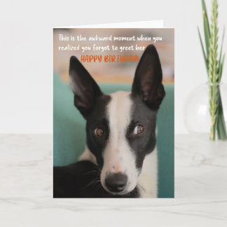 Funny Judging Dog Birthday Greeting Card 