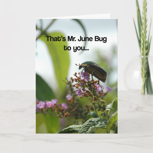 Funny June Bug Greeting Card (Front)