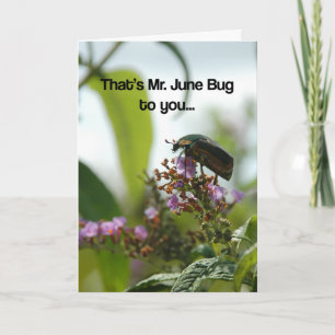Funny June Bug Greeting Card