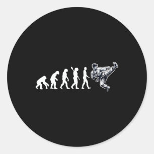 Funny Karate Evolution Martial Arts Lover Karate B Classic Round Sticker