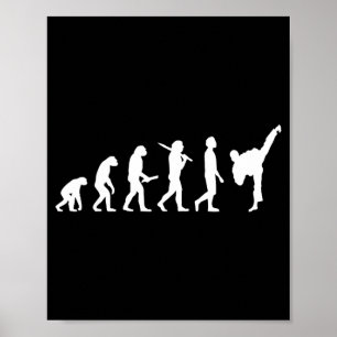 Funny Karate Taekwondo Evolution - Karateka Poster