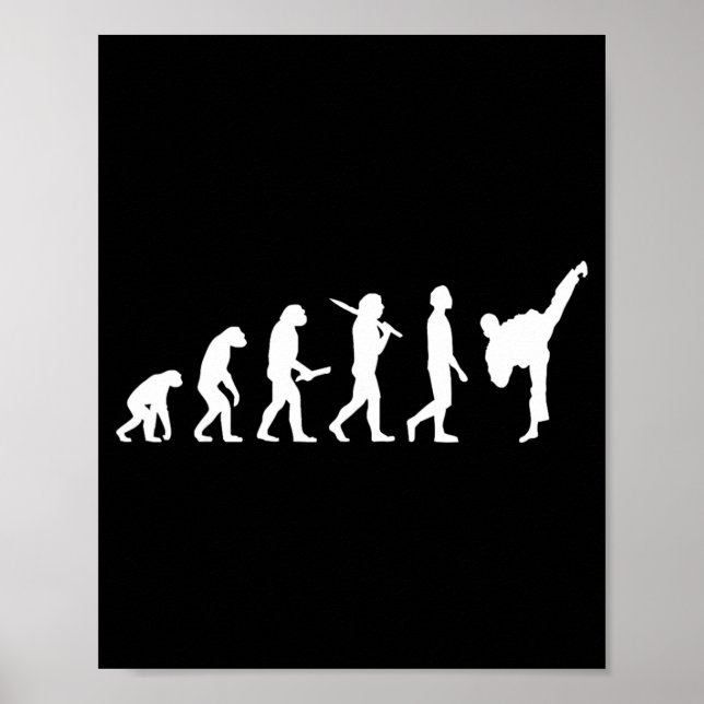 Funny Karate Taekwondo Evolution - Karateka Poster (Front)